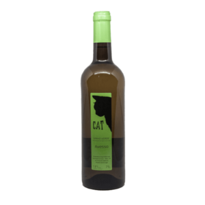 Cat Avesso