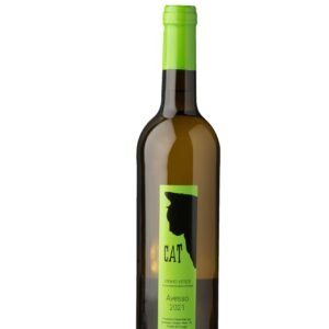 Cat Avesso